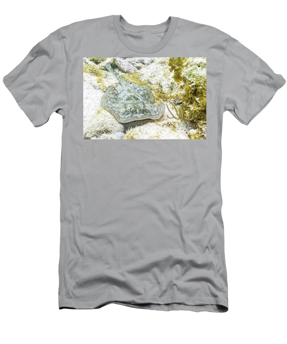 Animals T-Shirt featuring the photograph Little Spot by Lynne Browne