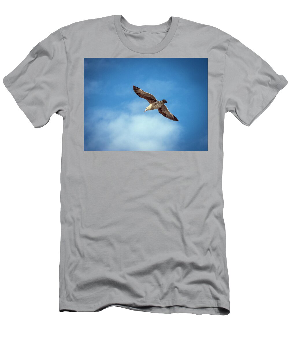 Seagull T-Shirt featuring the photograph Livingstone I Presume by Joe Schofield