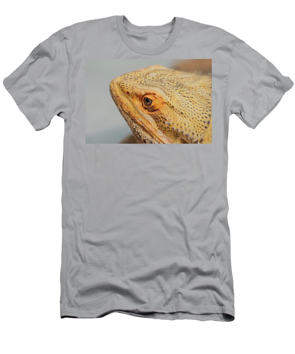 Lizard T-Shirt featuring the photograph Lizard Eye by Gordon Sarti