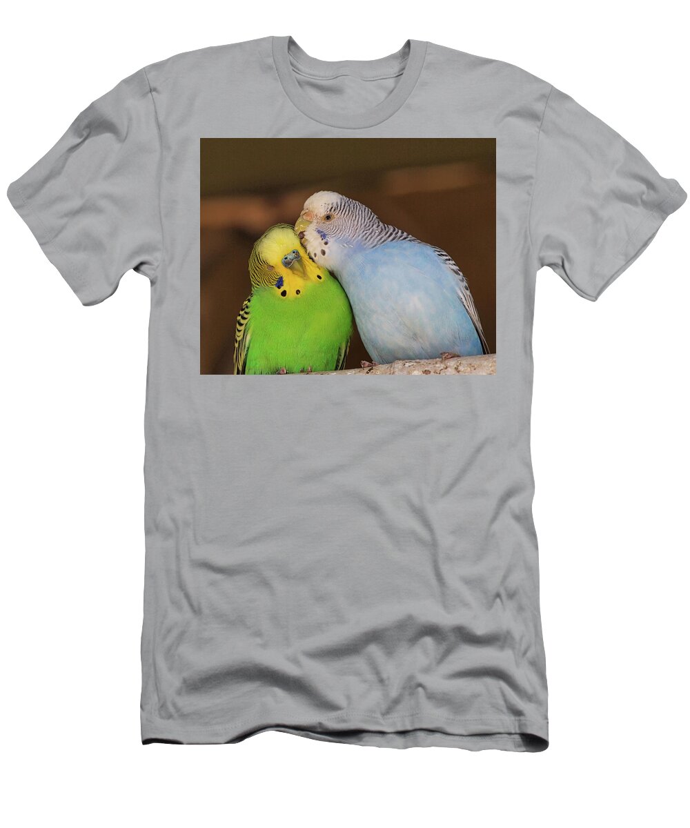 Budgerigars Parakeets T-Shirt featuring the photograph Love Birds by Scott Olsen