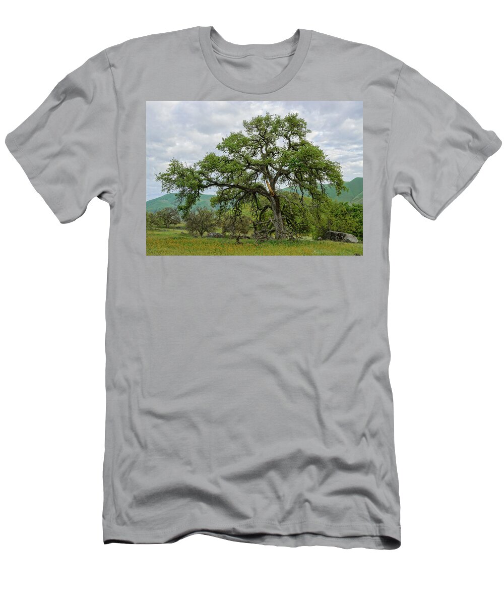 Oak Tree T-Shirt featuring the photograph Majestic Oak Yokohl Valley by Brett Harvey