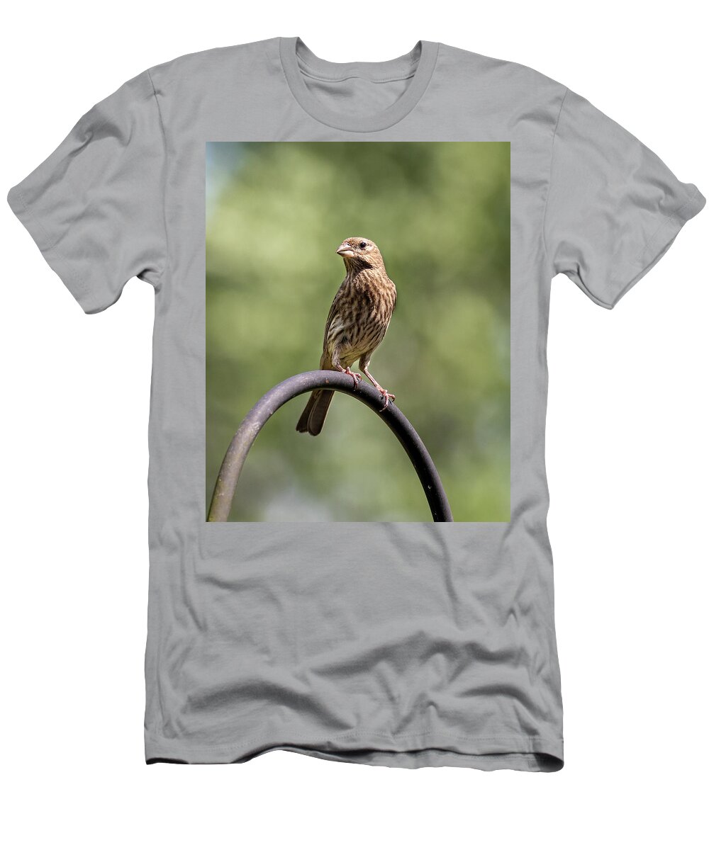 Bird T-Shirt featuring the photograph Mama Bird by David Beechum
