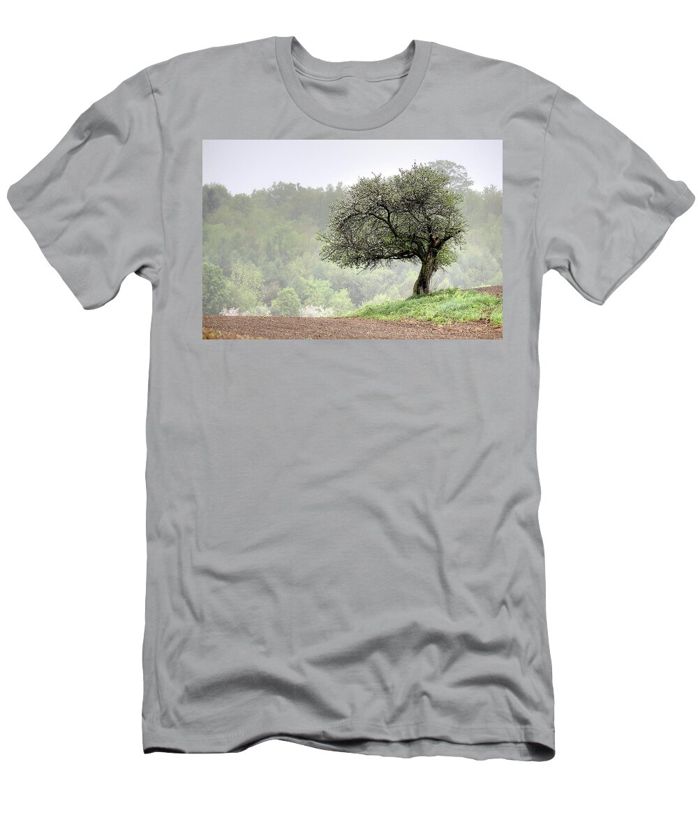 Trees T-Shirt featuring the photograph Marilla Tree by Don Nieman