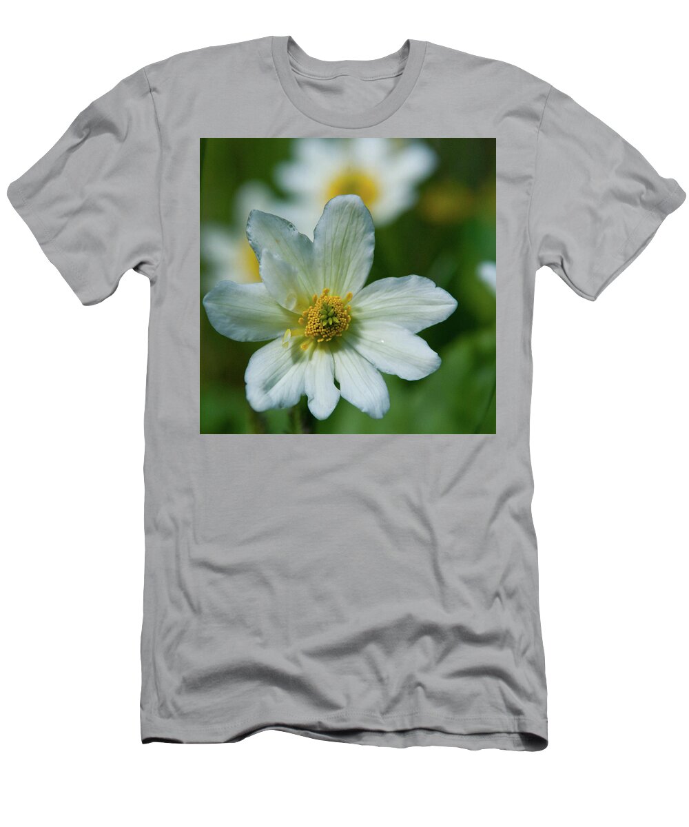 Marsh Marigold T-Shirt featuring the photograph Marsh Marigold Detail by Cascade Colors