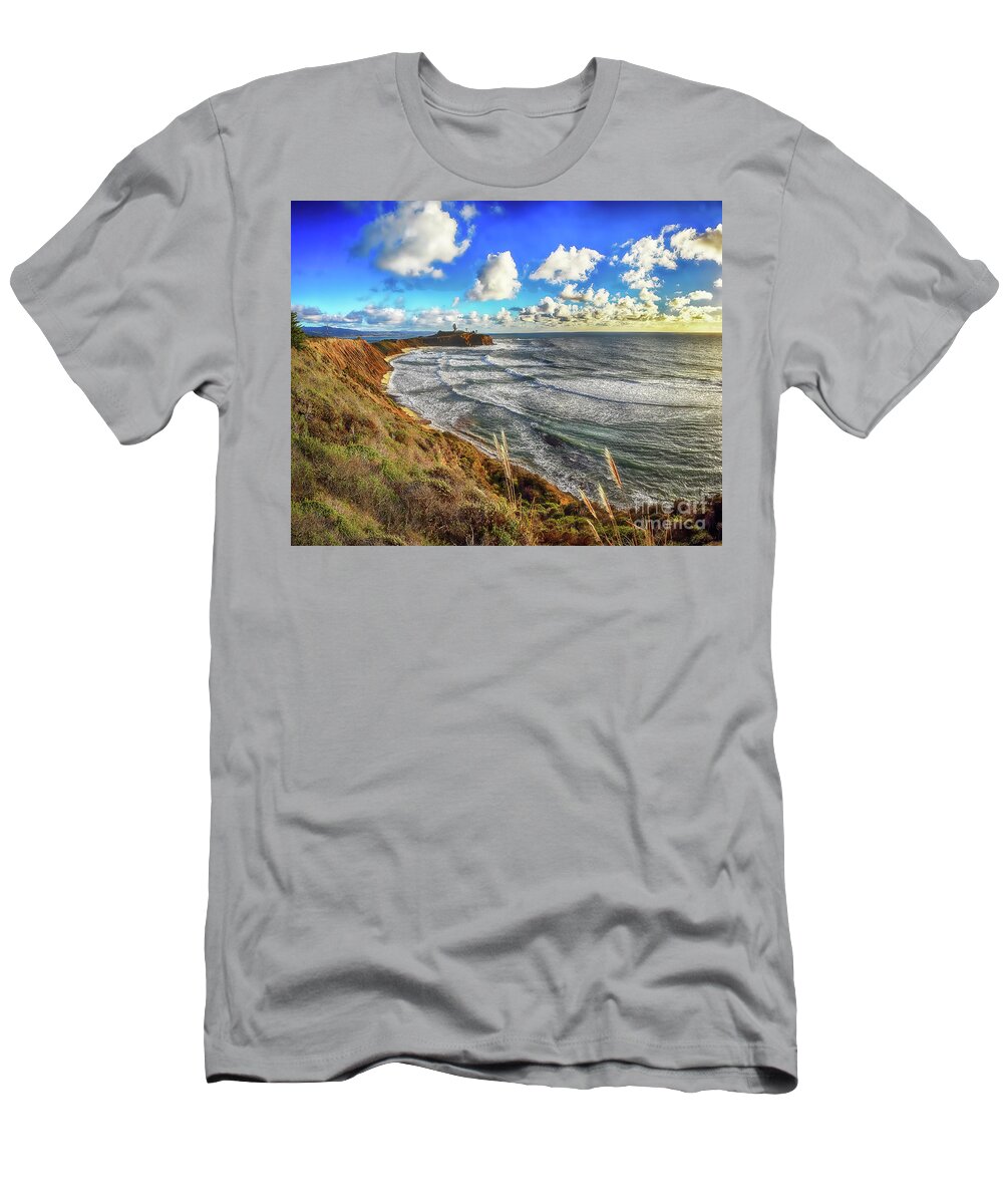 Big T-Shirt featuring the photograph Mavericks, Half Moon Bay, California by Don Schimmel