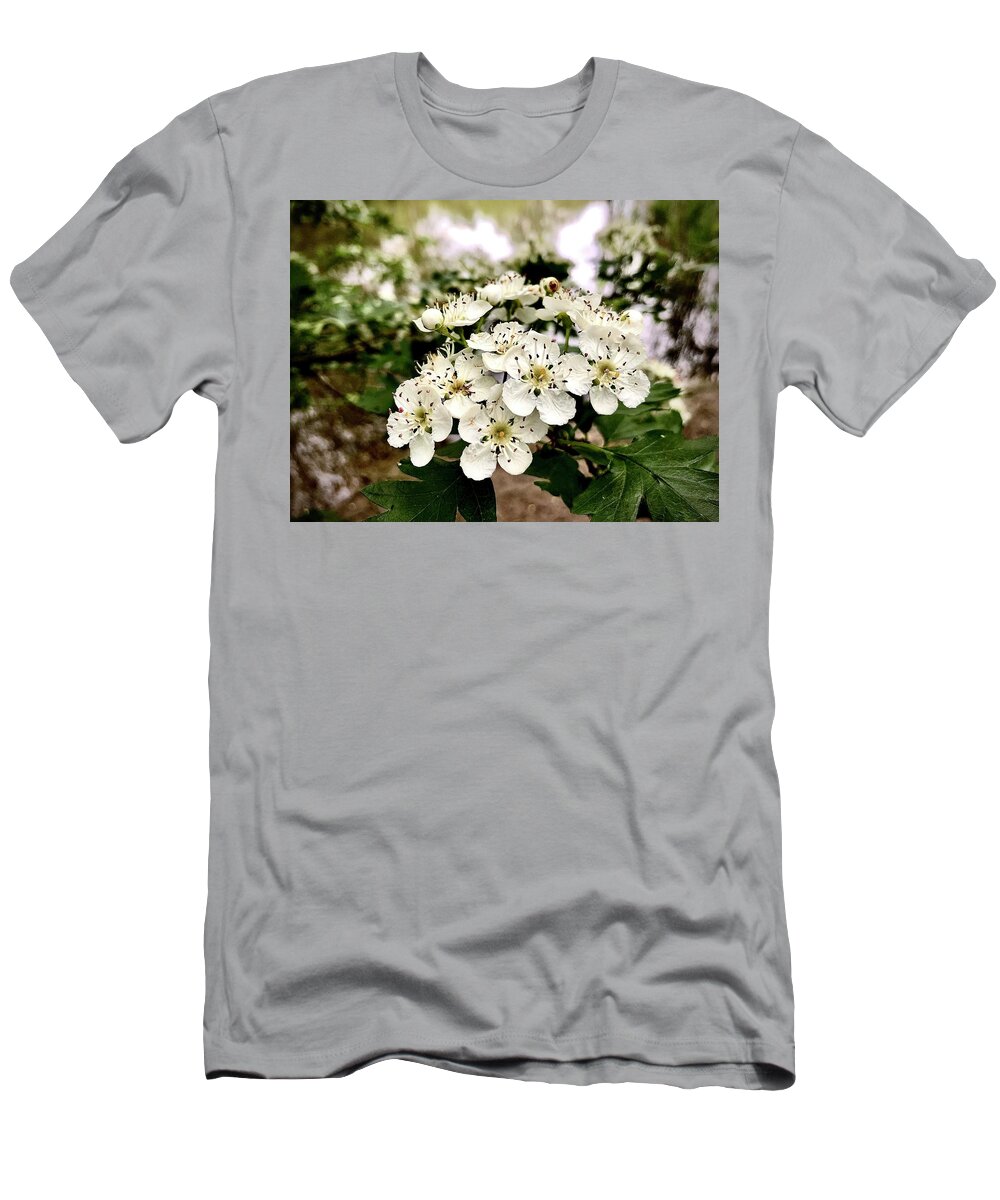 Common Hawthorn T-Shirt featuring the photograph May Hawthorn by Gordon James