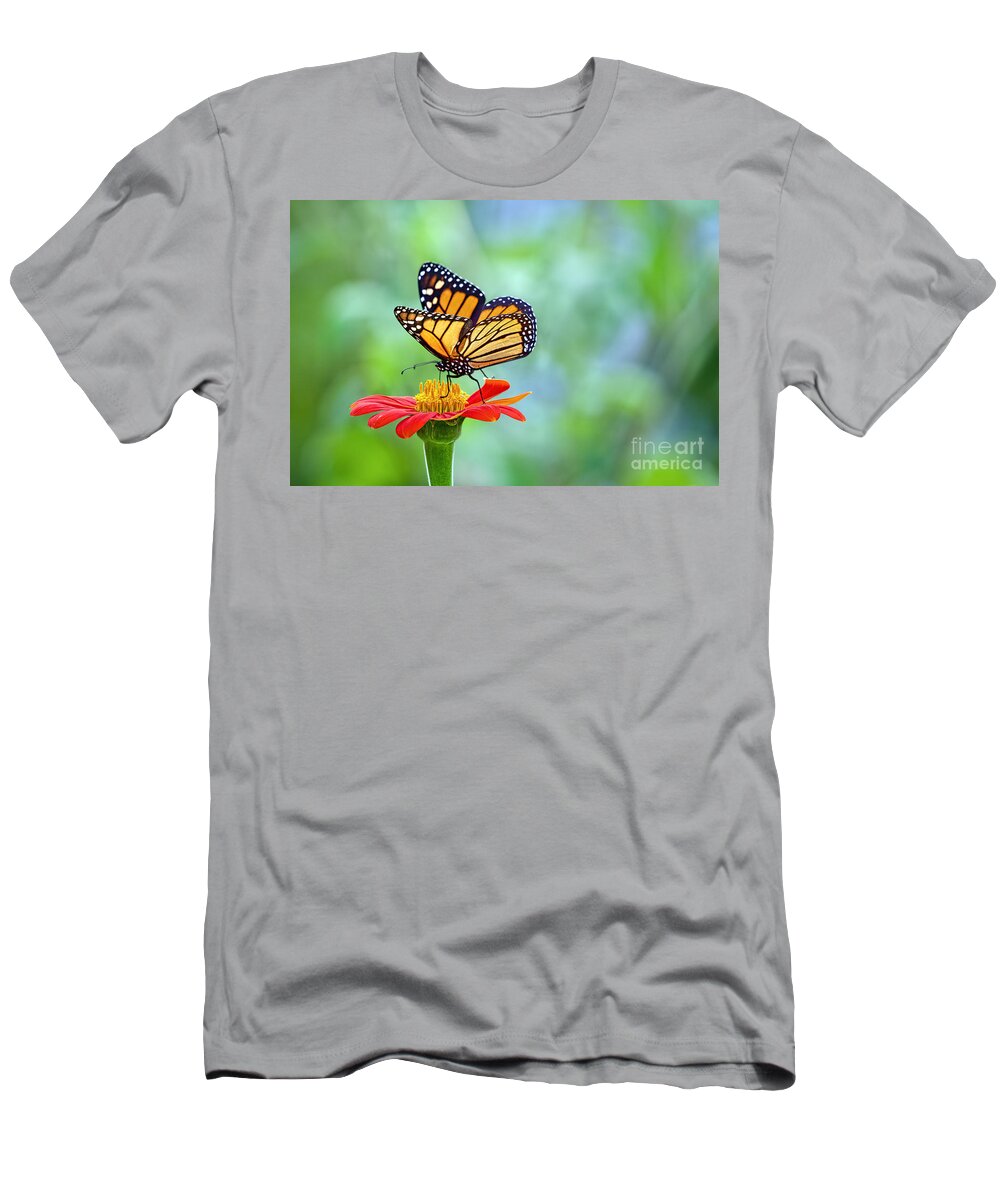 Bugs T-Shirt featuring the photograph Monarch Feeding Frenzy by Judy Kay