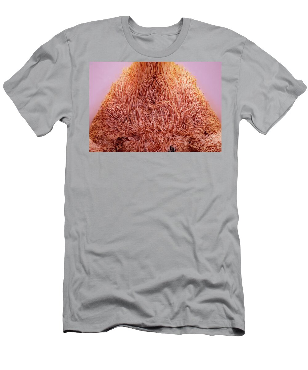 Moth T-Shirt featuring the photograph Live Moth Head On by Daniel Reed