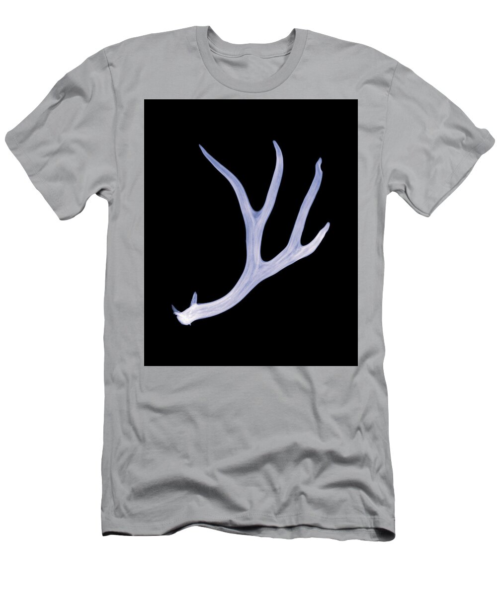 Kansas T-Shirt featuring the photograph Mule deer shed - 25 by Rob Graham