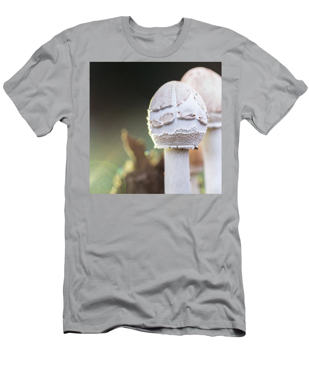 Mushroom T-Shirt featuring the photograph Mushrooms by David Beechum