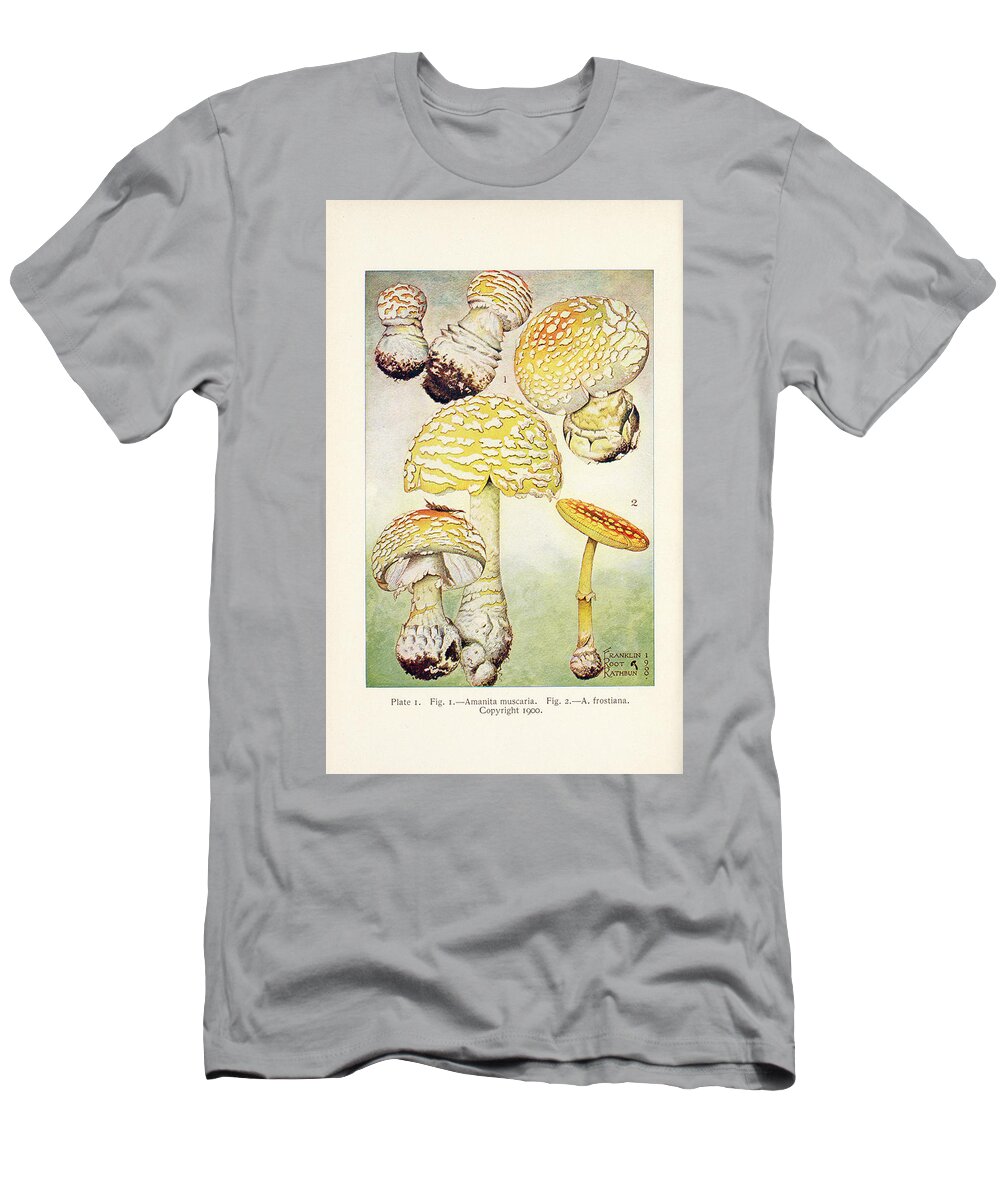 Mushroom T-Shirt featuring the painting Mushrooms, Edible, Poisonous, Etc. by F R Rathburn