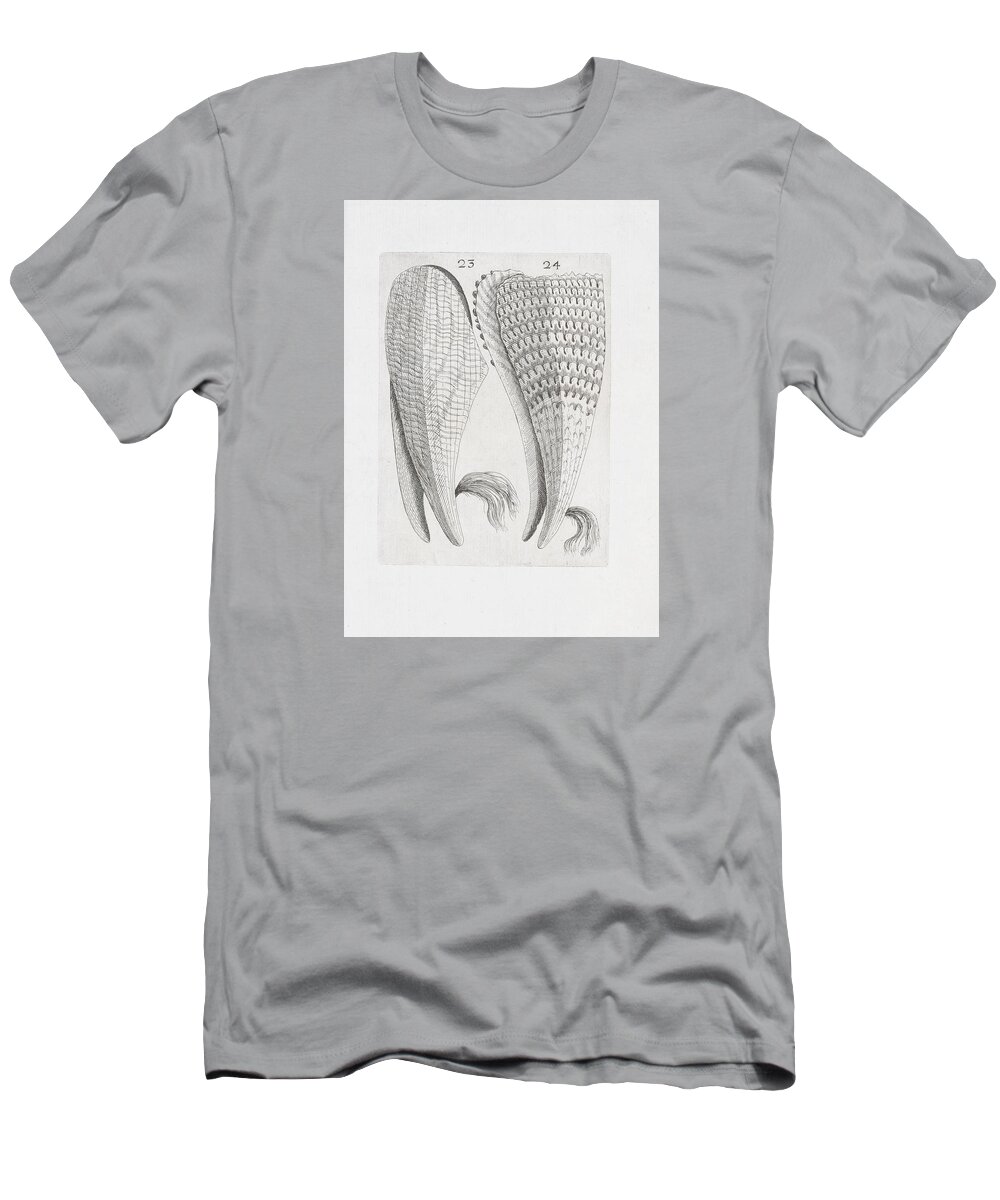 Mussel T-Shirt featuring the digital art Mussel Sketch - 1681 by Kim Kent