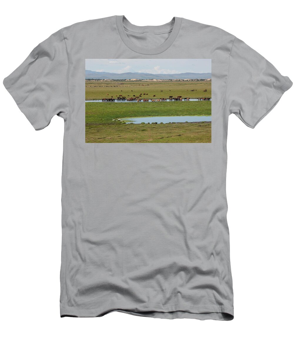 Herders Lifestyle T-Shirt featuring the photograph Nature Mongolia by Bat-Erdene Baasansuren