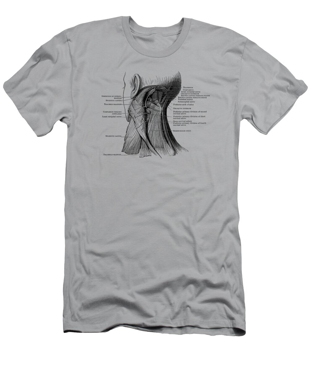Neck T-Shirt featuring the drawing Neck Muscular System Diagram - Vintage Anatomy 2 by Vintage Anatomy Prints