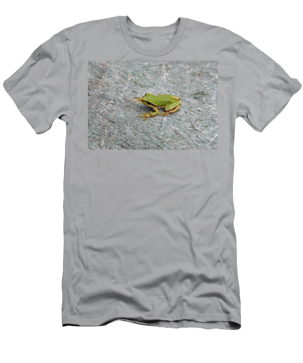 Wildlife Photos T-Shirt featuring the photograph Northern Pacific Tree Frog by Joan Septembre