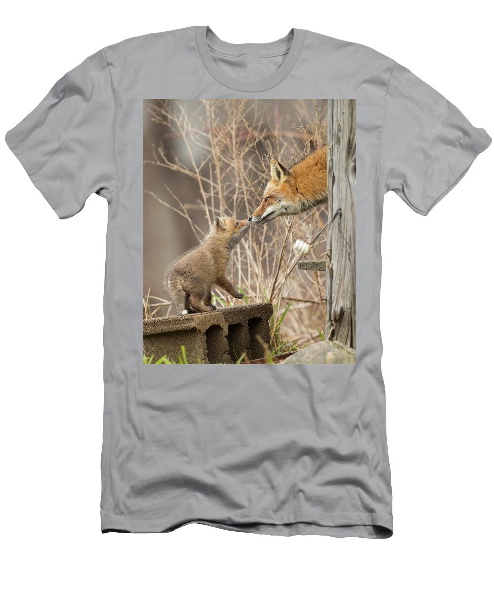 Red Fox T-Shirt featuring the photograph Nose To Nose by Everet Regal