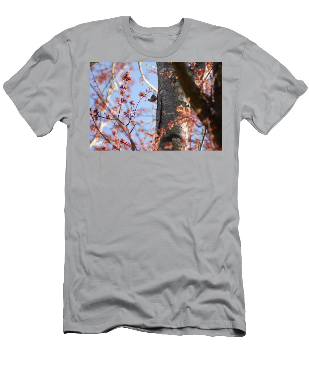  T-Shirt featuring the photograph Nuthatch Treat by Heather E Harman
