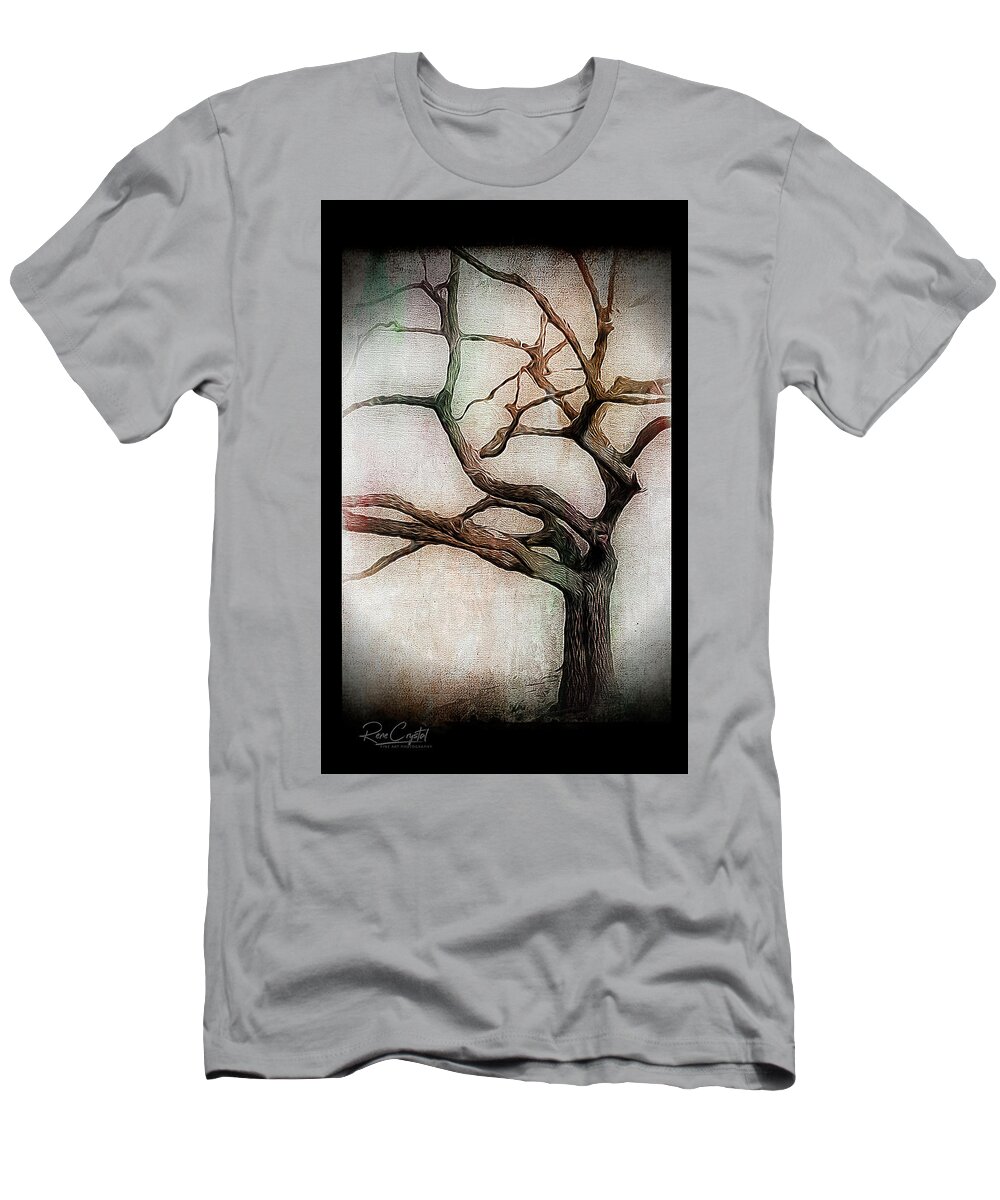 Trees T-Shirt featuring the photograph Old Craggy Dreams Of Spring by Rene Crystal