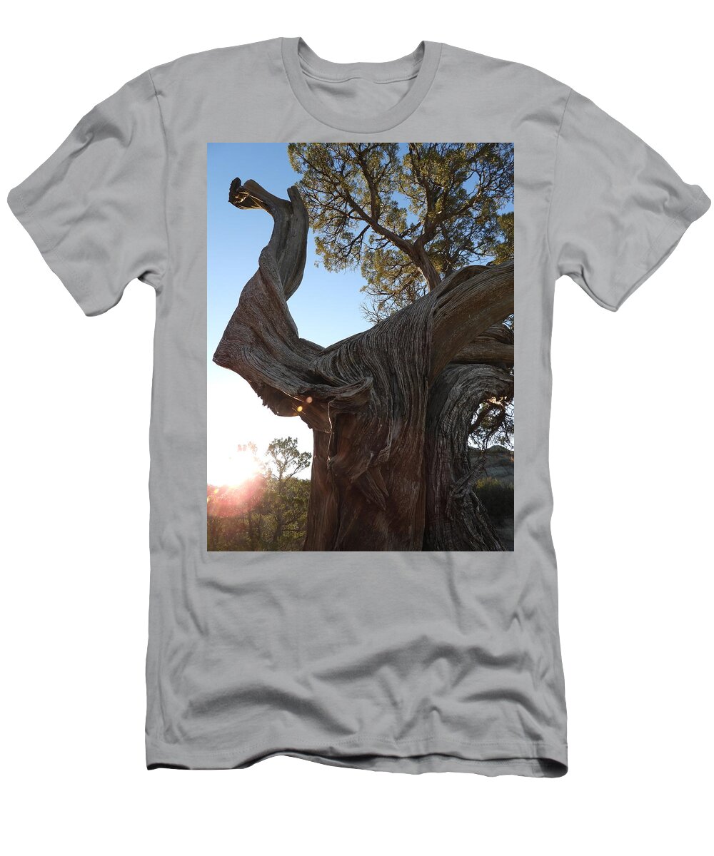Juniper T-Shirt featuring the photograph Old Twisted Juniper 3 by Amanda R Wright