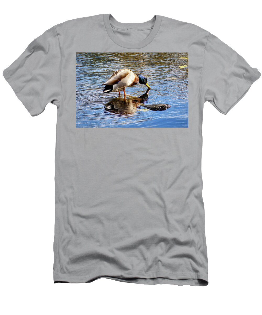 Juanita Bay Park T-Shirt featuring the photograph On Reflection by Phyllis McDaniel