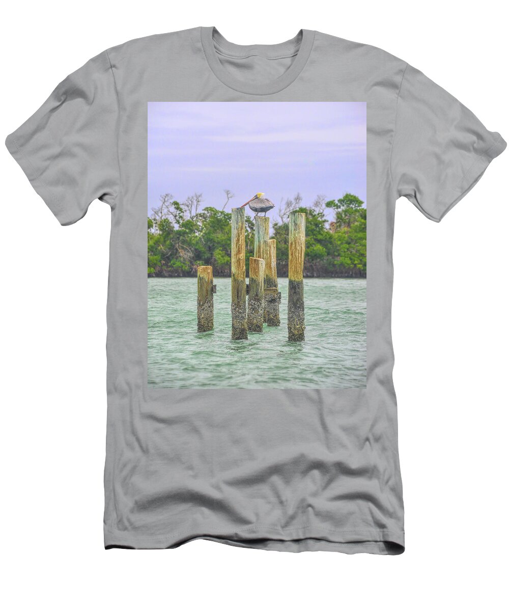 Pelicans T-Shirt featuring the photograph One More Minute by Alison Belsan Horton