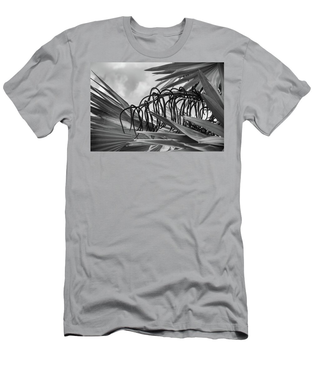 Palm T-Shirt featuring the photograph Palm Flower, Leaves and Sky by Alan Goldberg