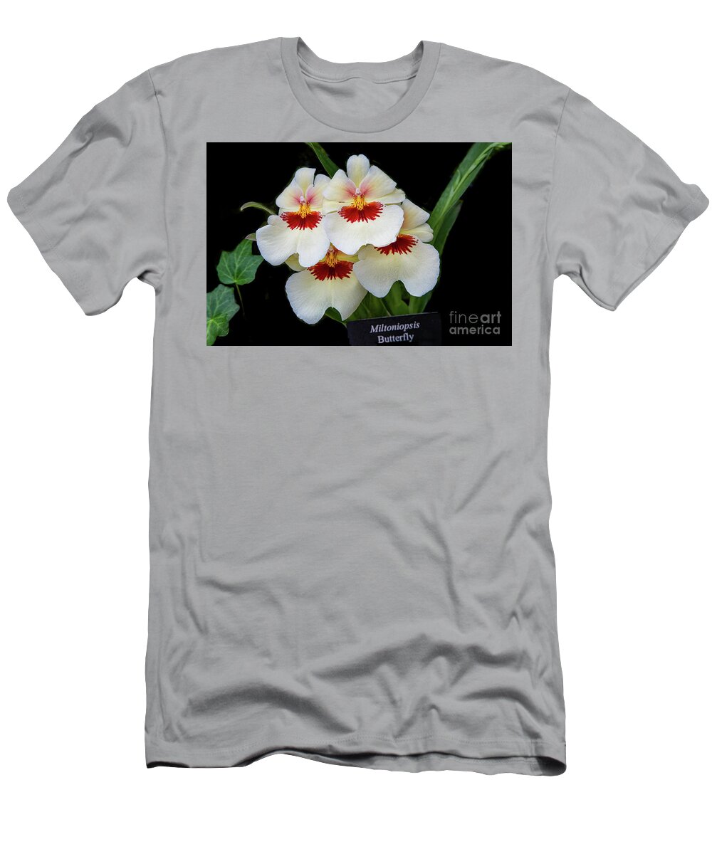 Conservatory T-Shirt featuring the photograph Pansies on Parade by Marilyn Cornwell