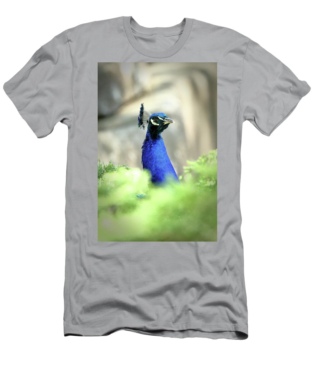 Bird T-Shirt featuring the photograph Peacock-A-Boo by Lens Art Photography By Larry Trager