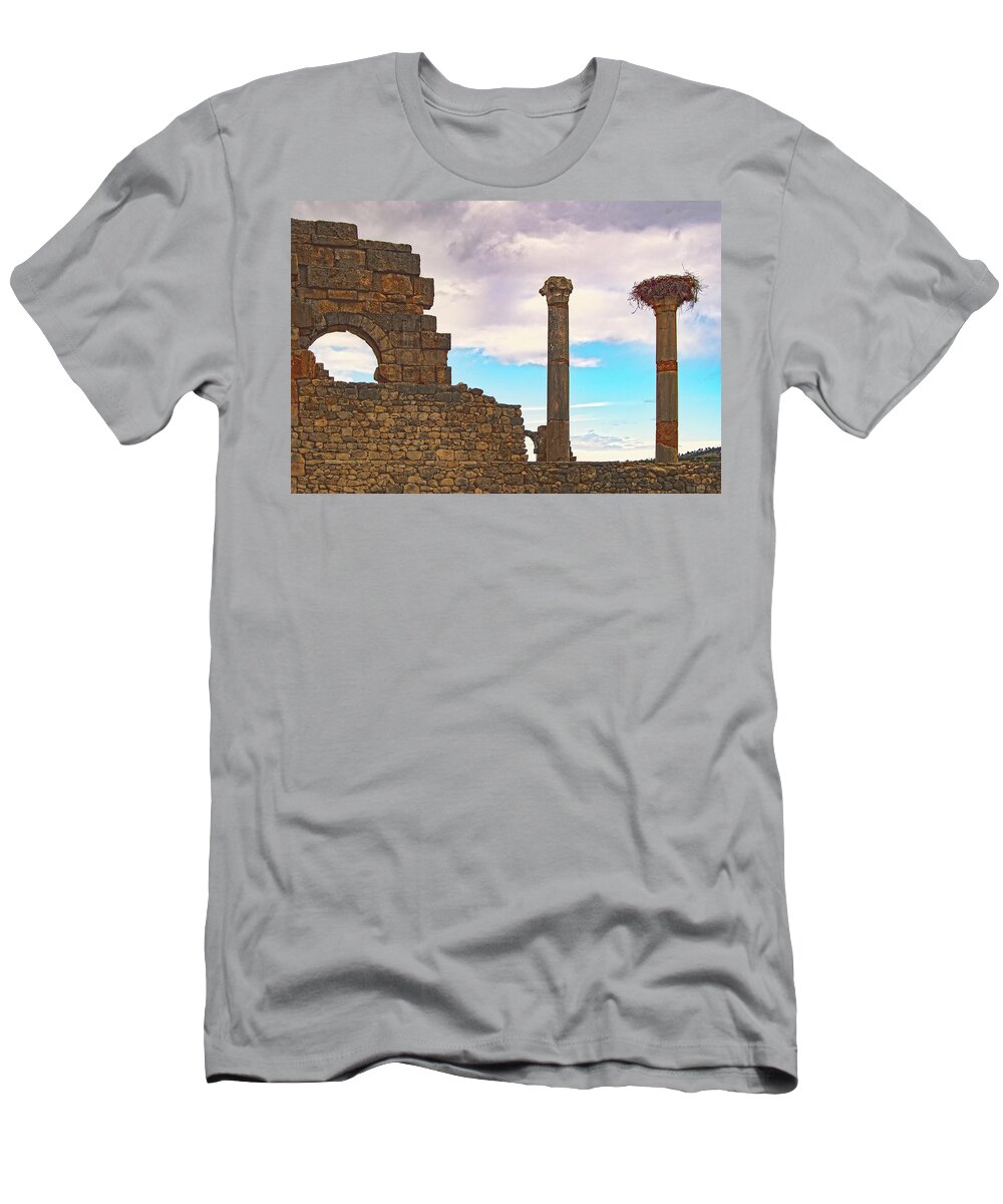 Roman Ruins T-Shirt featuring the photograph Perch Among the Ruins by Edward Shmunes