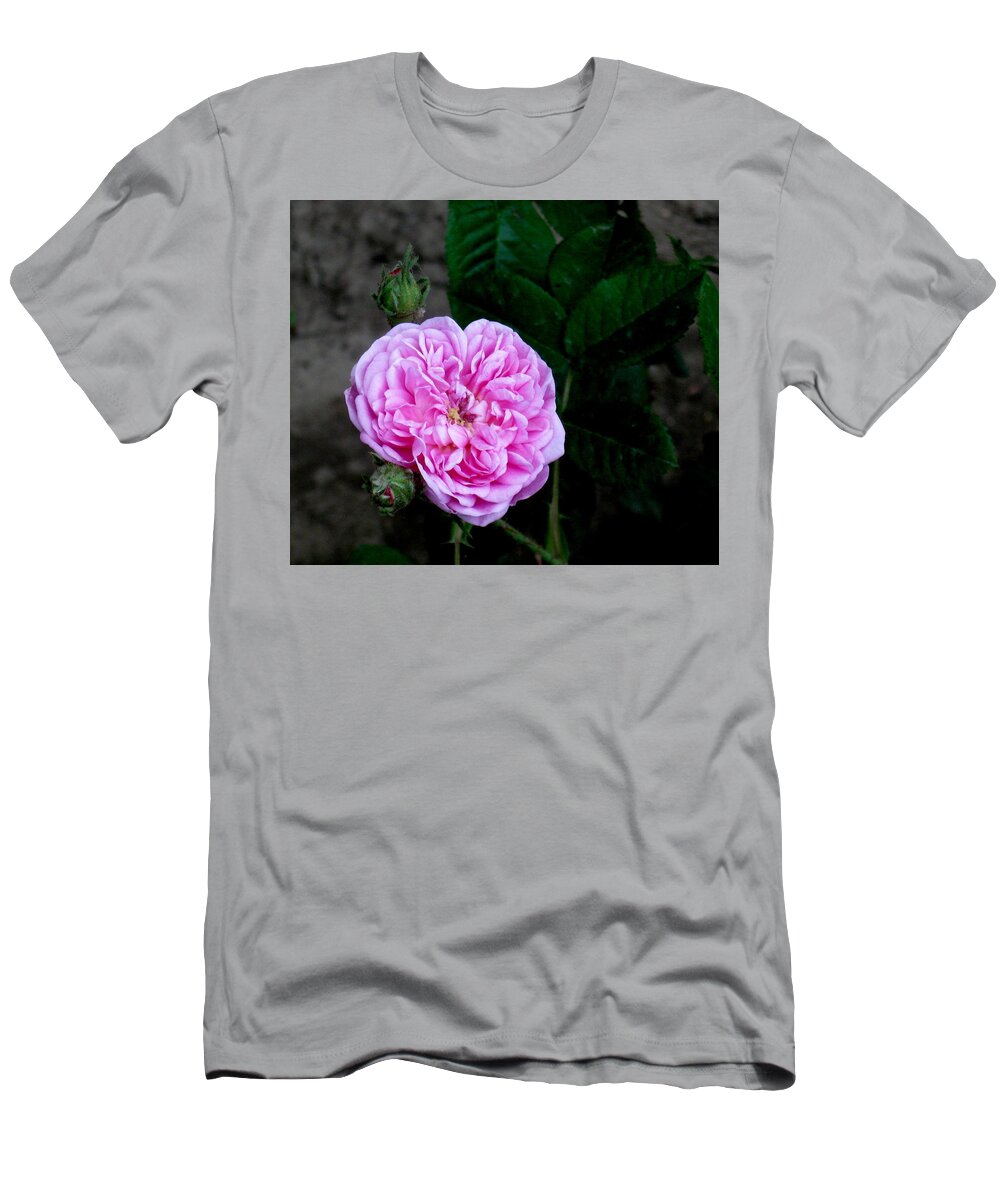 Rose T-Shirt featuring the photograph Petite Lisette by Katie Keenan