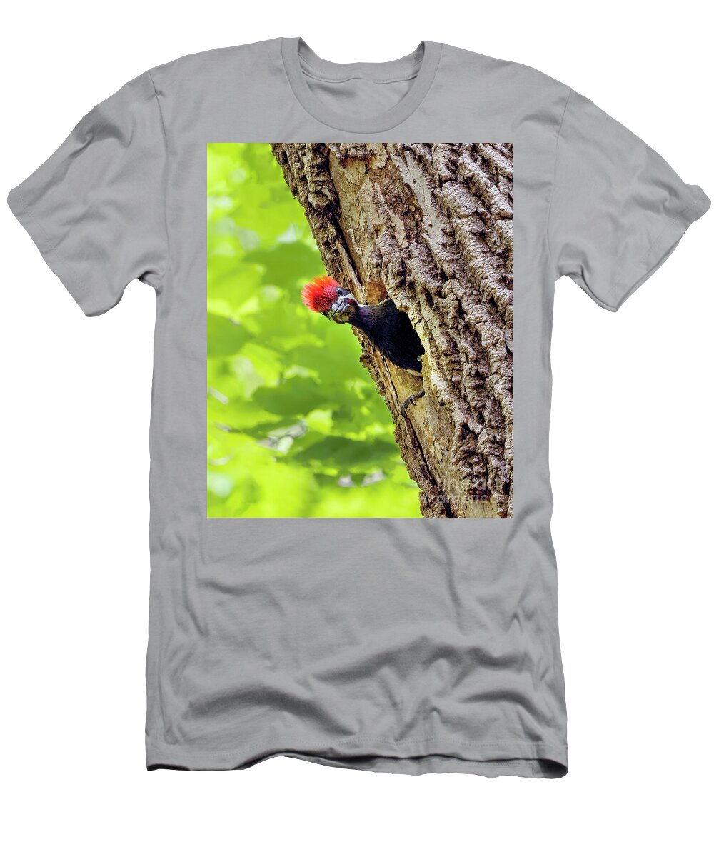Pileated Woodpecker Chick T-Shirt featuring the photograph Pileated Woodpecker Chick by Sandra Rust