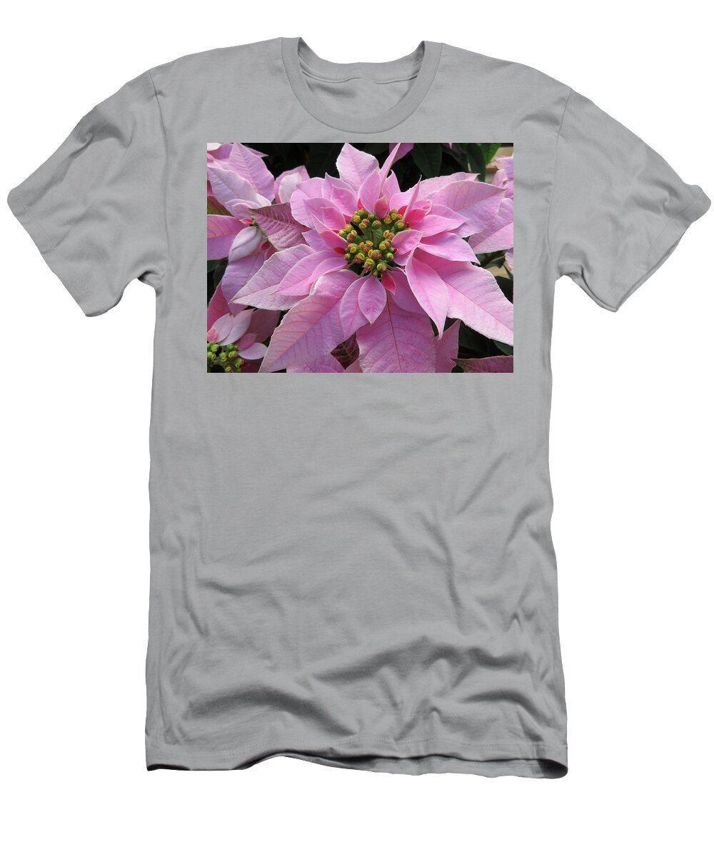 Pink T-Shirt featuring the photograph Pink Poinsettia by Jennifer Wheatley Wolf