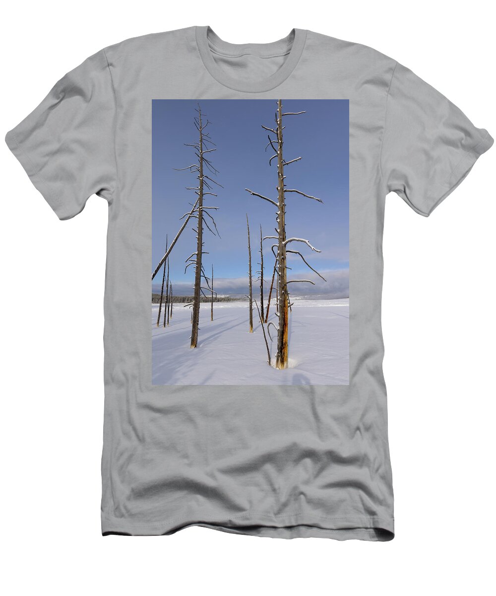 Yellowstone National Park T-Shirt featuring the photograph Pole Pines in Yellowstone by Cheryl Strahl