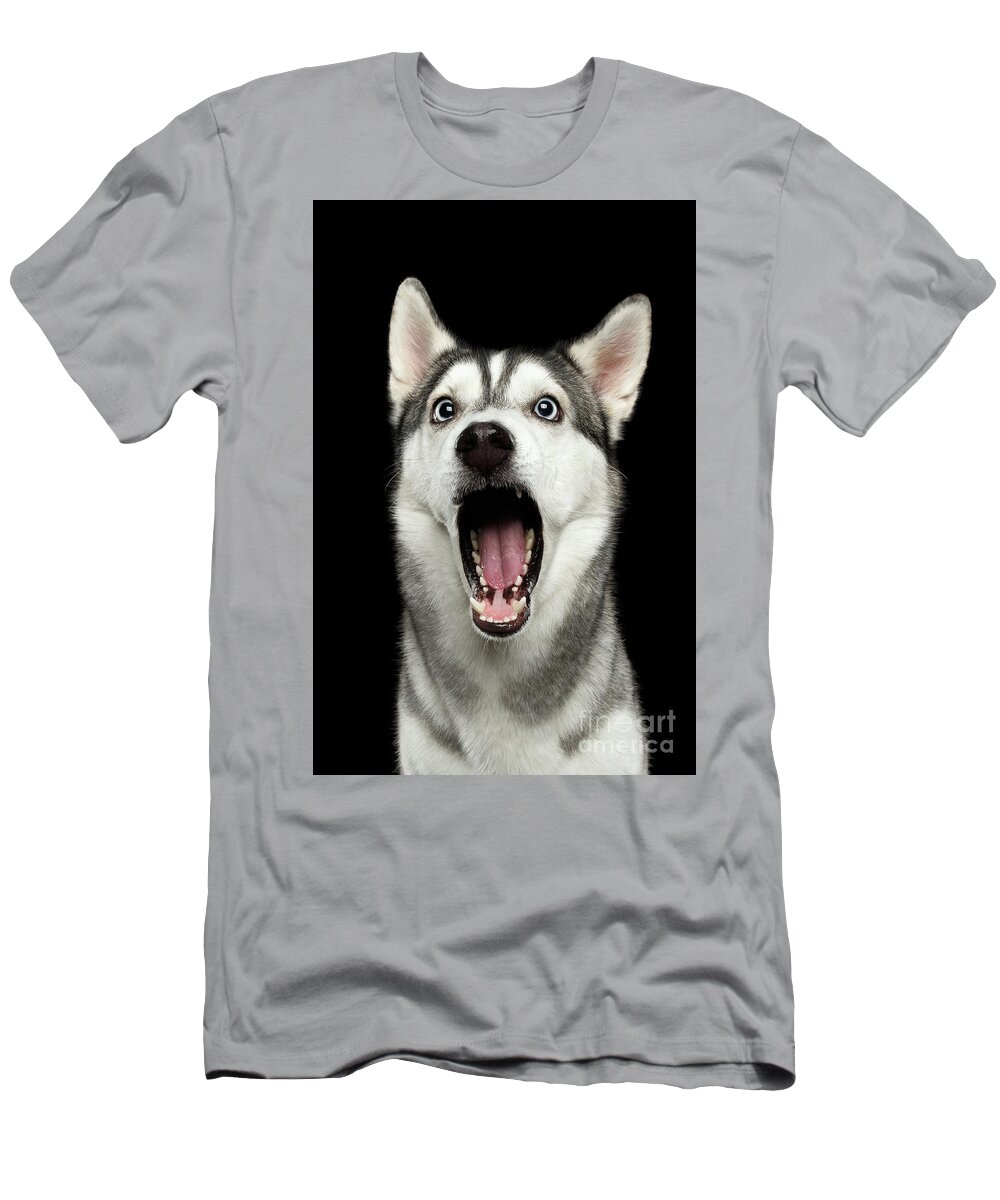 Portrait of Amazement Siberian Husky T-Shirt by Sergey Taran - Pixels