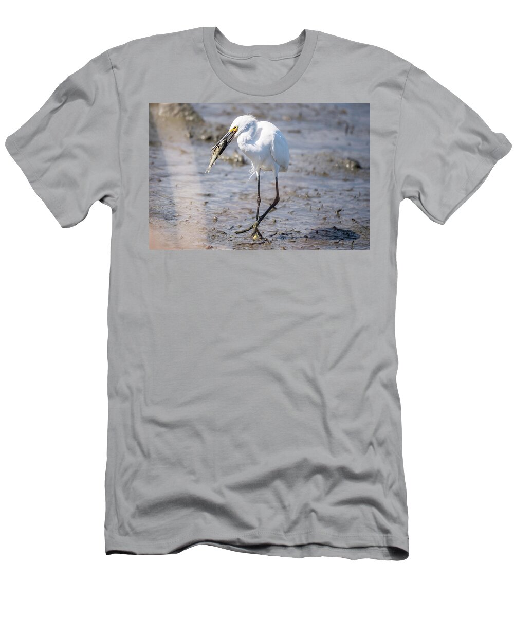 Egret T-Shirt featuring the photograph Posing Egret by Joe Granita