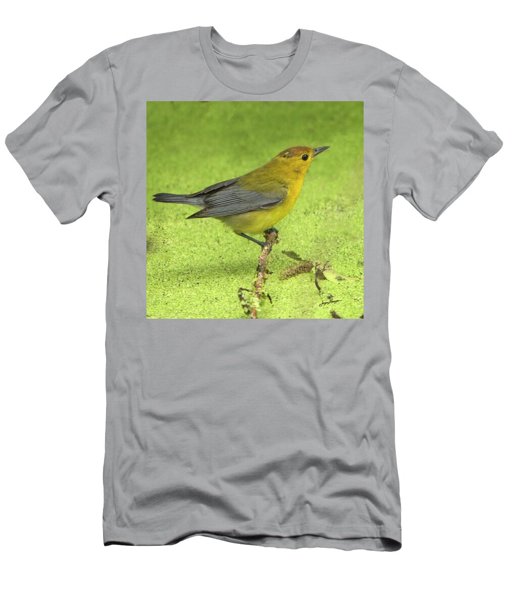 Prothonotary Warbler T-Shirt featuring the photograph Prothonotary Warbler by Jurgen Lorenzen