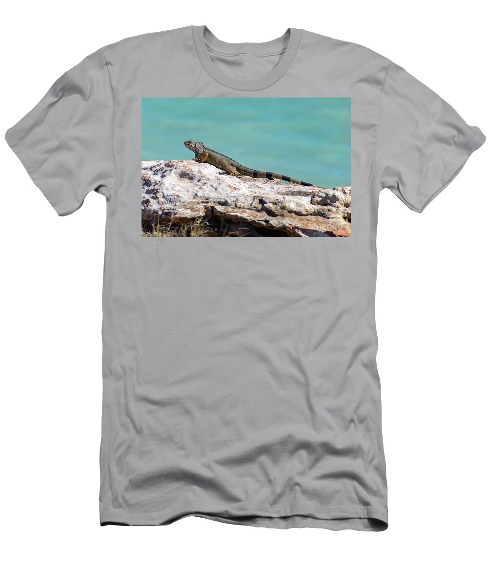 Iguana T-Shirt featuring the photograph Puerto Rican Iguana Sunning on a Rock by Beachtown Views
