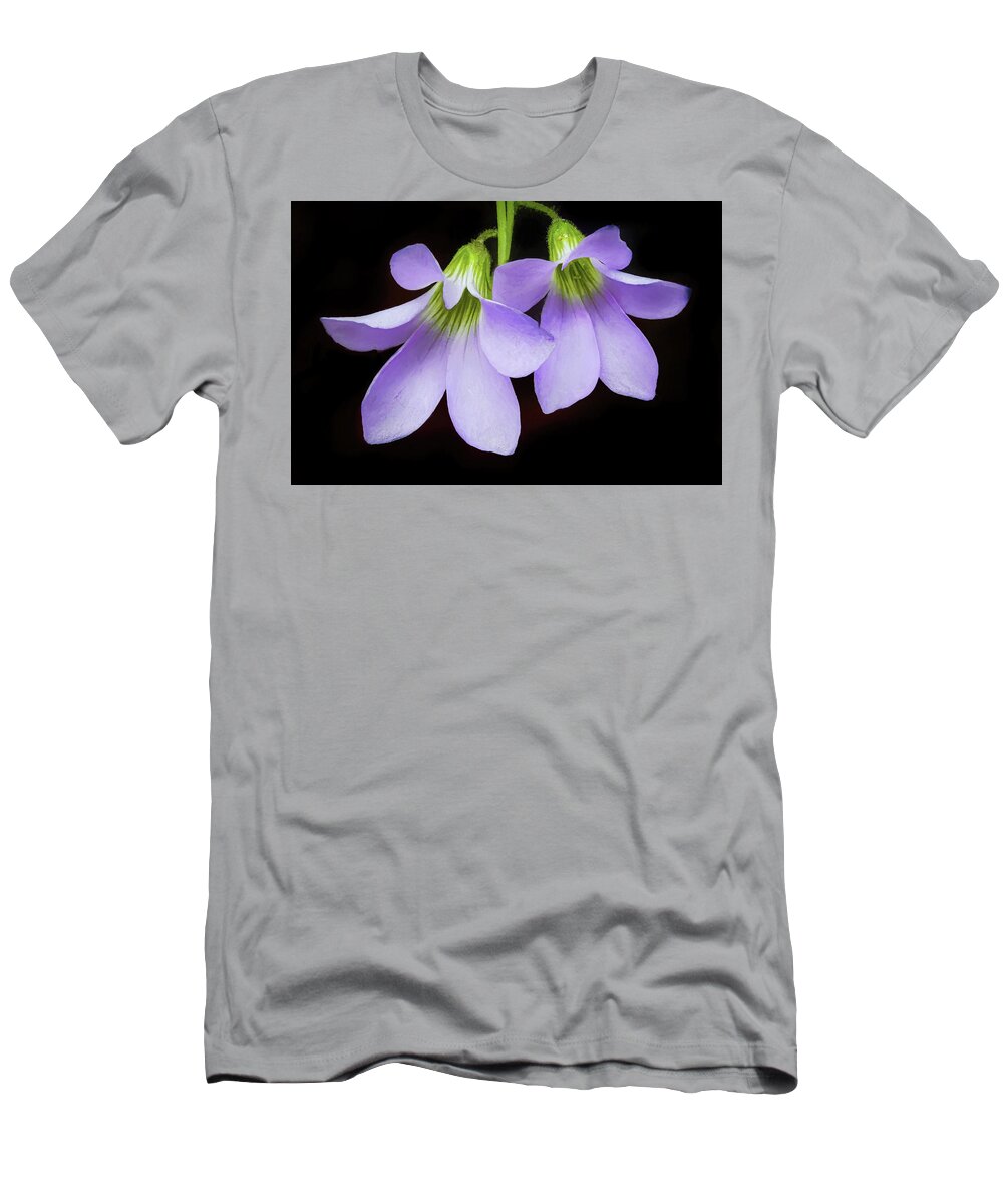 Purple Shamrock T-Shirt featuring the photograph Purple Shamrock Flowers by Gary Slawsky