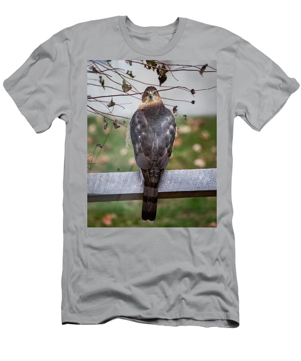 Coopers Hawk T-Shirt featuring the photograph Rear View by Denise Kopko