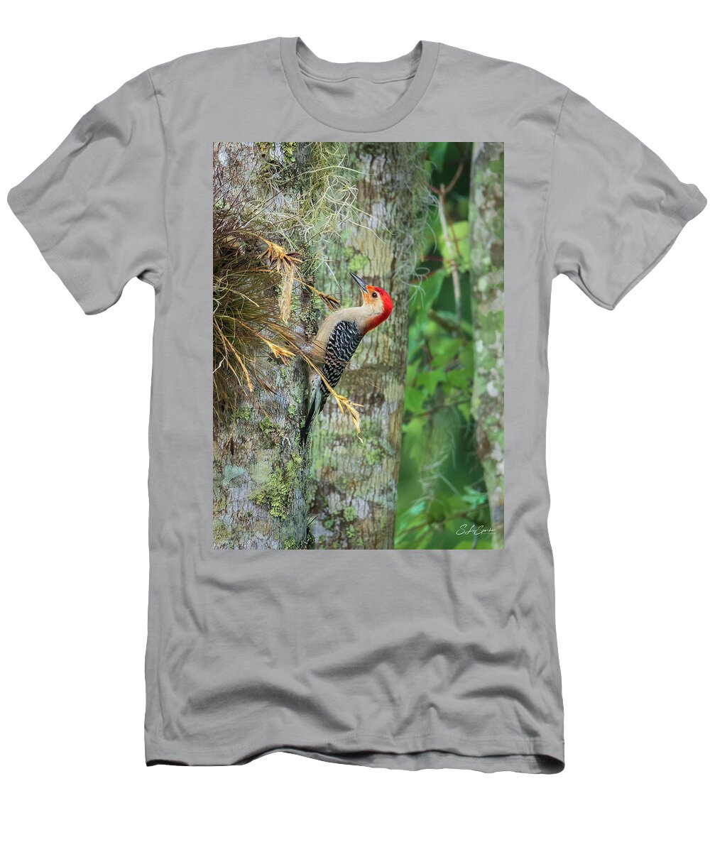 Red-bellied Woodpecker T-Shirt featuring the photograph Red-bellied Woodpecker by Steven Sparks
