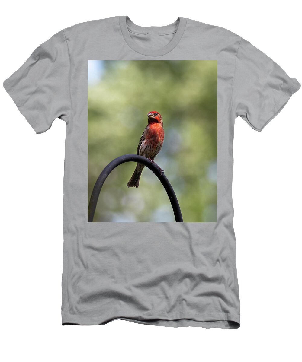 Bird T-Shirt featuring the photograph Red Bird by David Beechum