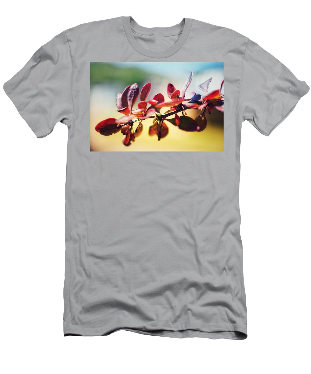 Berries T-Shirt featuring the photograph Red on Red by Evan Foster