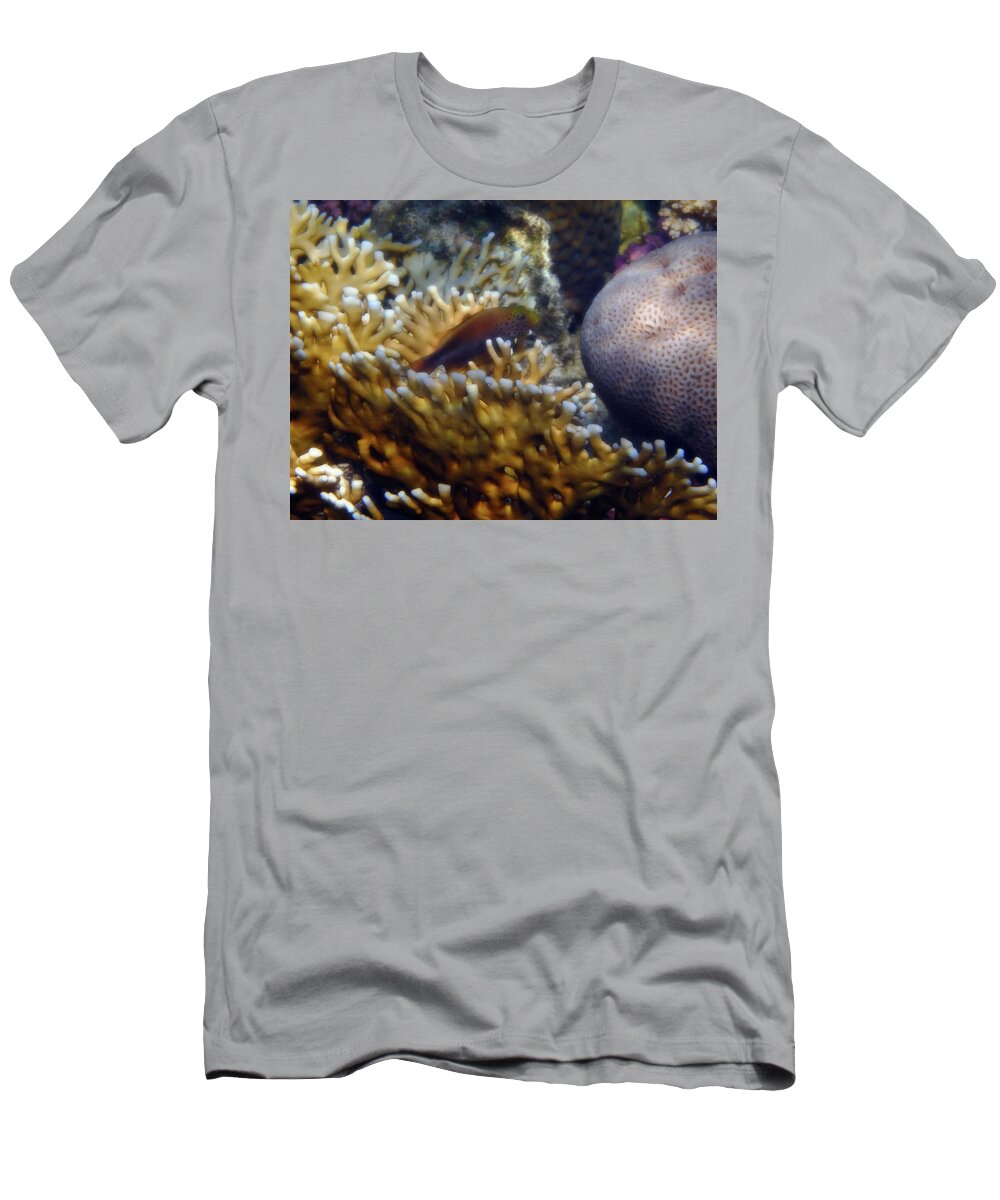 Hawkfish T-Shirt featuring the photograph Red Sea Freckled Hawkfish by Johanna Hurmerinta