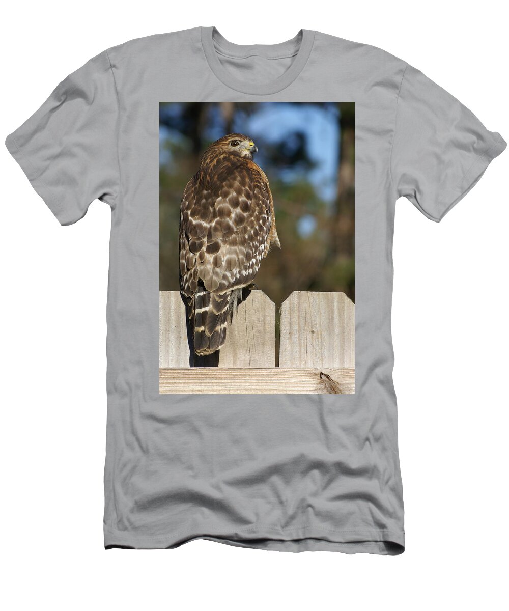  T-Shirt featuring the photograph Red-Shouldered Hawk by Heather E Harman