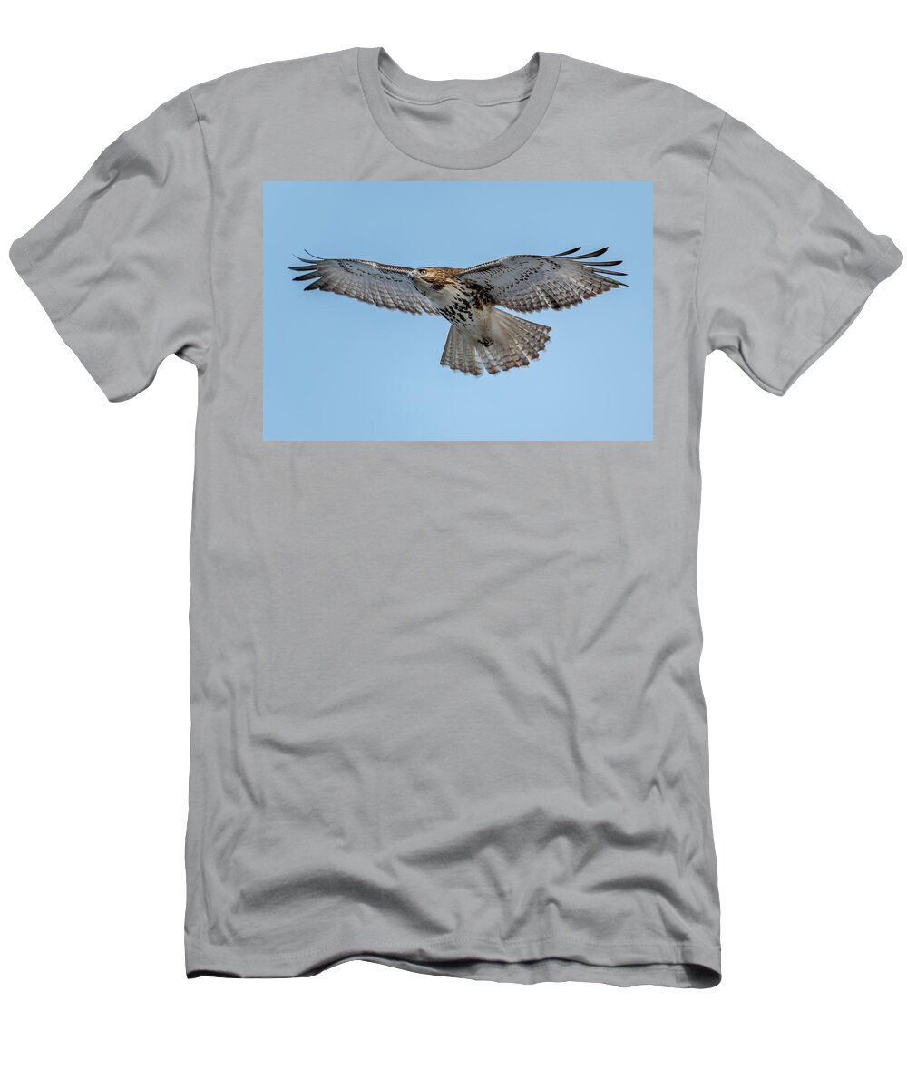 Hastings-on-hudson T-Shirt featuring the photograph Red-tailed Hawk in Winter by Kevin Suttlehan