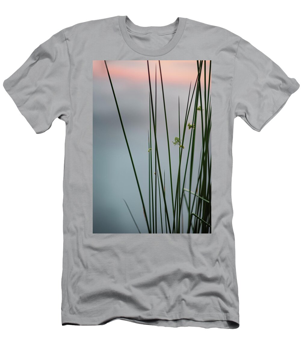 Reed T-Shirt featuring the photograph Reeds By A Pond by Karen Rispin