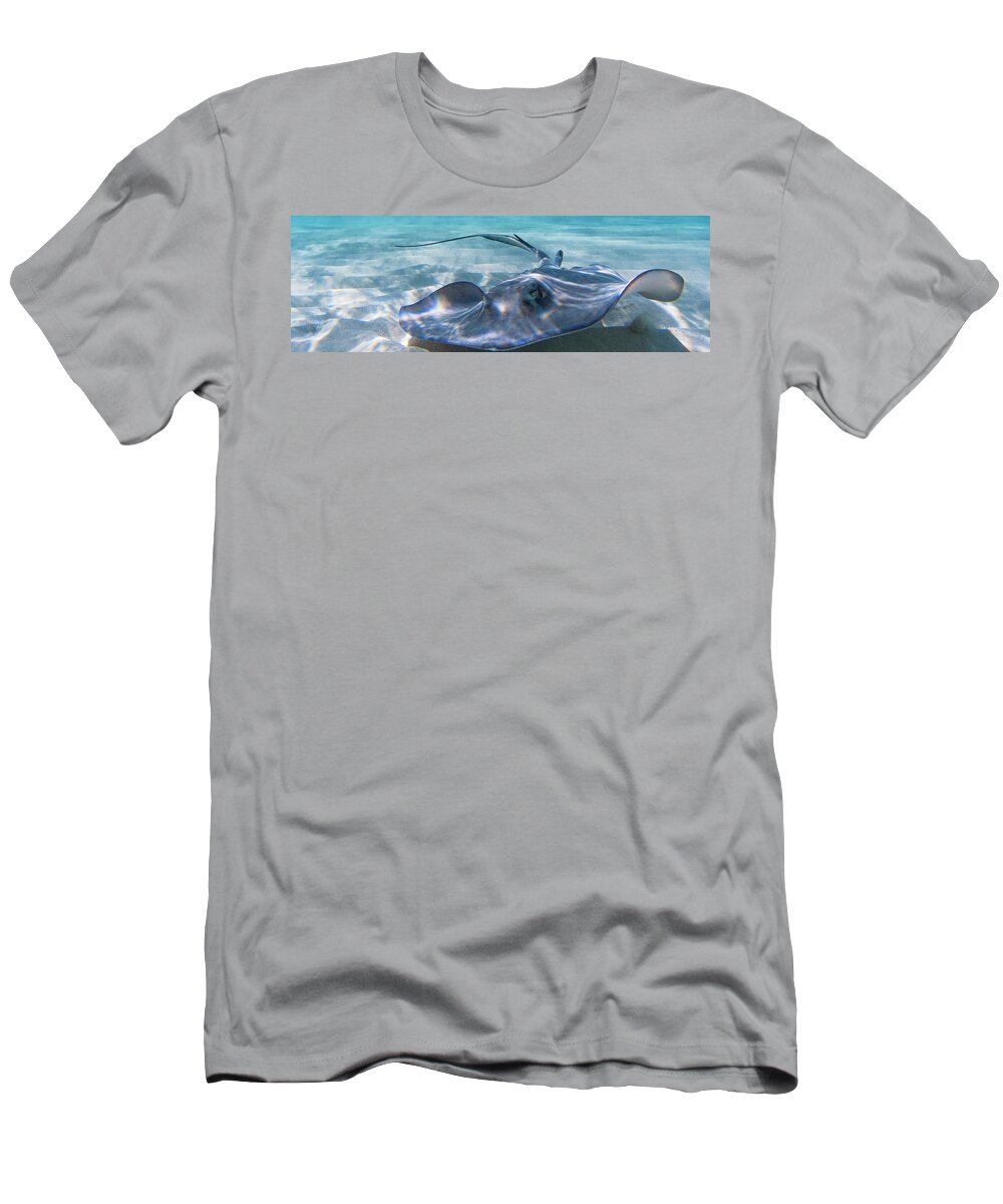 Ray T-Shirt featuring the photograph Reflections on a Southern Ray by Lynne Browne