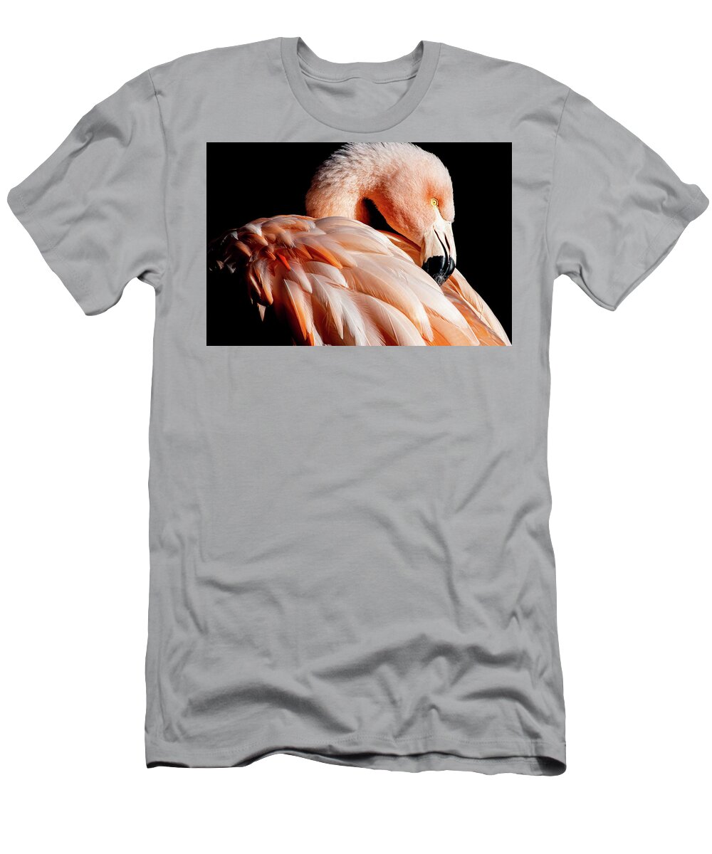 Flamingo T-Shirt featuring the photograph Resplendent by Bonny Puckett