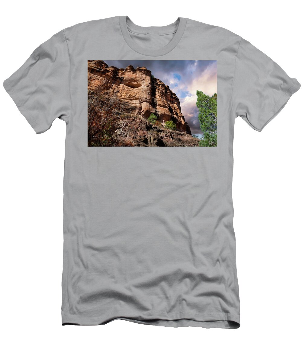 Gila Cave Dwellings T-Shirt featuring the photograph Rock Formation by Endre Balogh