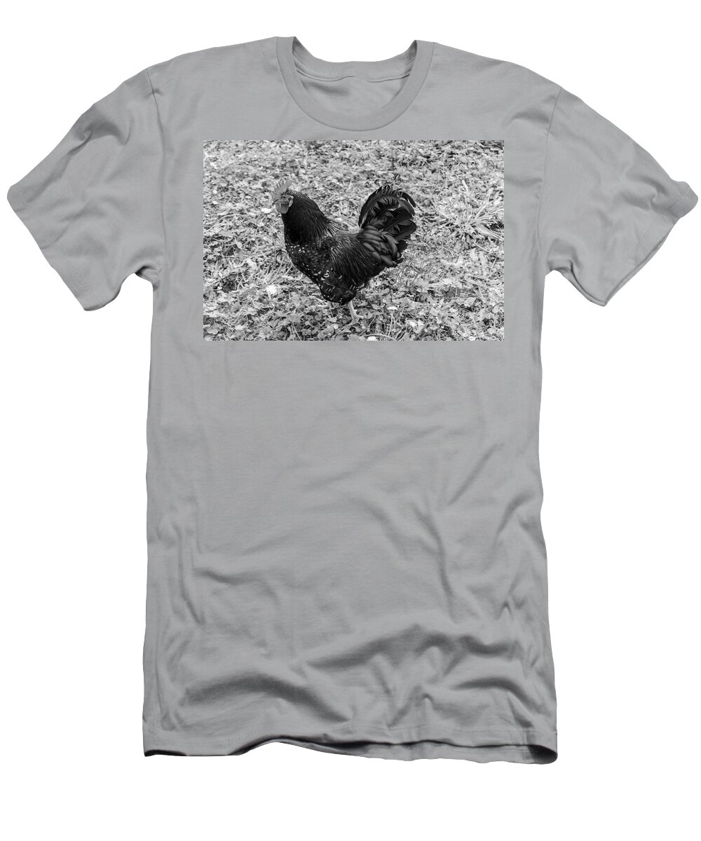 Rooster T-Shirt featuring the photograph Rooster BW by Cathy Anderson
